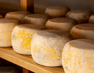 image alcapronequeseria (6)